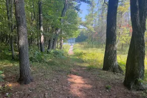 Lakeside Gem: Kayaks, Firepit & Private Dock - Image 3