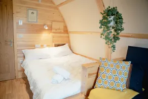 Cosy Cabin with Wood Fired Hot Tub - Image 3