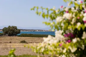 Angali TA 3 Bedroom Home 60m From Kastraki Beach - Image 3