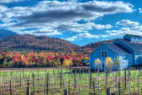 Smugglers’ Notch 4BR Retreat: Theater, Gym & Games - Image 4