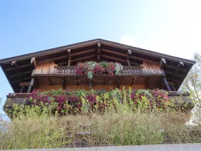 Chalet in panoramic location, 450m to the ski lift - Image 4