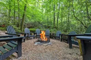 Beech Timber- 30 Acre Secluded Glamping In Rrg - Image 4