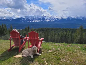 Stay Golden - Valhalla House, amazing hot tub view - Image 3