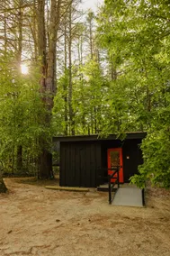 Modern, luxurious cabin in the woods - 19 - Image 2