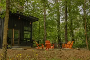 Modern, luxurious cabin in the woods - 19 - Image 3