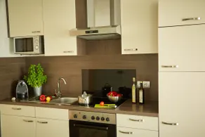 Business Homes - Das Apartment Hotel - Image 5
