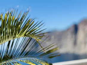 Los Gigantes Buenavista Ocean View - Image 4