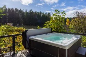 Pet Friendly, Hot Tub, Pizza Oven, EV Car, Golfing - Image 3