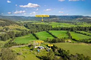Hide and Seek, Kangaroo Valley - Image 2