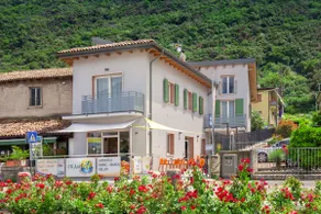 The Oil Mill in Monte - Image 4