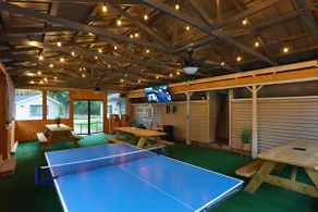 4-Cabins | Pickleball | Hot Tub | Sauna | Fire Pit - Image 4