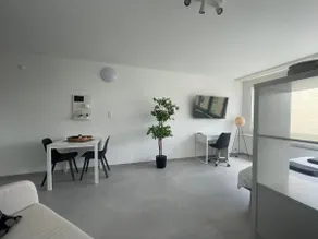 Modern City Studios in Basel with Basel Card - Image 5