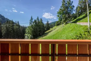 Ferienwohnung \"Bachwiesl Hof Apt Pichl\" mit Bergblick, Balkon und WLAN - Image 2