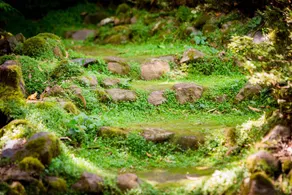 Caretaker's Cottage - Image 5