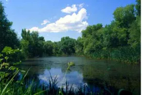 Poppy House:Weekend fun |Short Drive to LAKES - Image 4