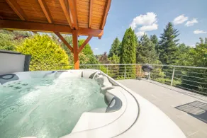 Le Chant du Ruisseau SPA - Sauna - Image 3