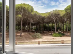 Apartoyou - Pine Lux - Image 5