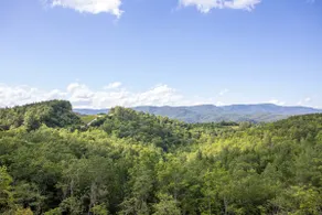 Luxury BRMC Retreat w/ Hot Tub & Panoramic Views - Image 2