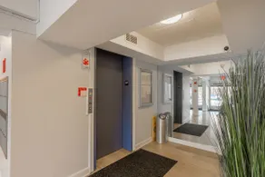 Magnificent 2- bedroom condo in Downtown Rehoboth 5 blocks to ocean & boardwalk - Image 5