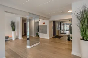 Magnificent 2- bedroom condo in Downtown Rehoboth 5 blocks to ocean & boardwalk - Image 3
