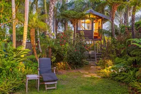 Tropical Beach 3 BD Paradise- Blocks from Ocean! - Image 2