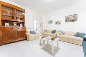 Artemisia House Solid - Image 3