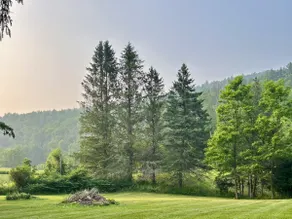 Cozy Mountain Retreat in Prattsville - Image 3