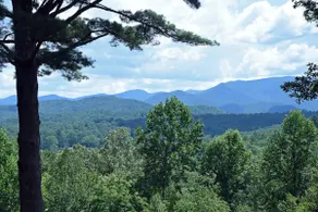Big Pine - Mountain view, pet friendly, hot tub - Image 5