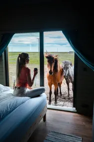 Kristall - Sleeping with the horses - Image 3