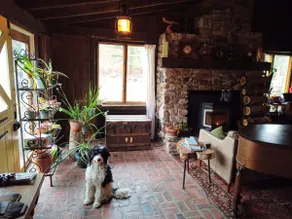 Adventure Doggie's Homestead @ Upper Bucks - No Pe - Image 2