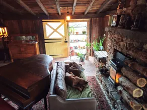 Adventure Doggie's Homestead @ Upper Bucks - No Pe - Image 4