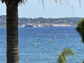Les Dauphins - Image 4