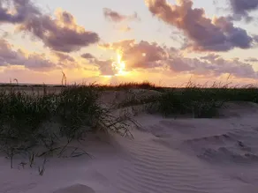 4 personer fritidhus i Fanø - Image 3