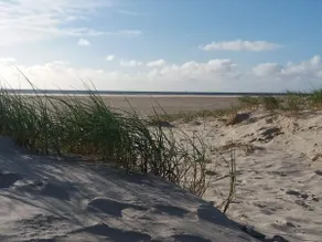 4 personer fritidhus i Fanø - Image 5
