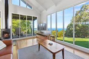 Ollie's View - Image 4