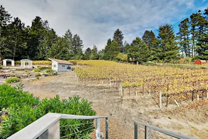 Mtn-view Retreat w/ Hot Tub + Deck in Sebastopol - Image 4