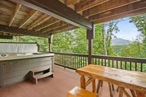 Lux Chalet with Amazing Views of Grandfather Mtn! - Image 3
