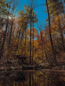 Good Times cabin at Saluda Grade Cabins! - Image 2