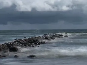 14 person holiday home in Blåvand - Image 3