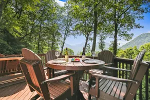 DT Asheville 16 mi Hot Tub Fire Pit Secluded - Image 3