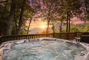 DT Asheville 16 mi Hot Tub Fire Pit Secluded - Image 2