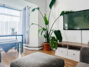 The Annexe at Tenniside - Image 5