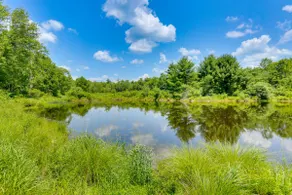 Secluded Poconos Cabin: 75 Acres & Fire Pit! - Image 2