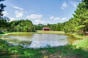 Cozy Summit Cabin w/ Hiking Trails & Fishing Pond! - Image 2