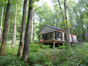 Modern Chalet Located in the Woods - Image 3