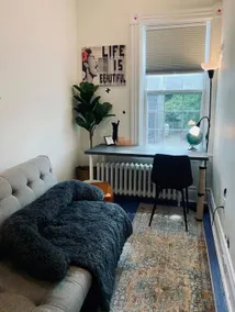 Pet-Friendly Space, King bed, Office - Image 2