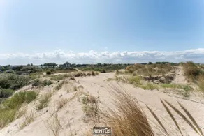 Villa Sealise - spacious house by the dunes in Westende - Image 3