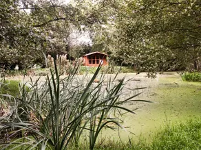 High Park Barn - Image 2