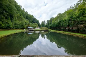 Brevard oasis, kid friendly, handicap accessible! - Image 5