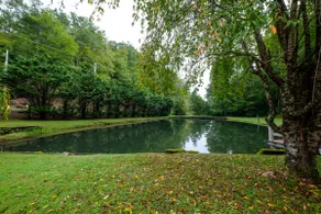 Brevard oasis, kid friendly, handicap accessible! - Image 4